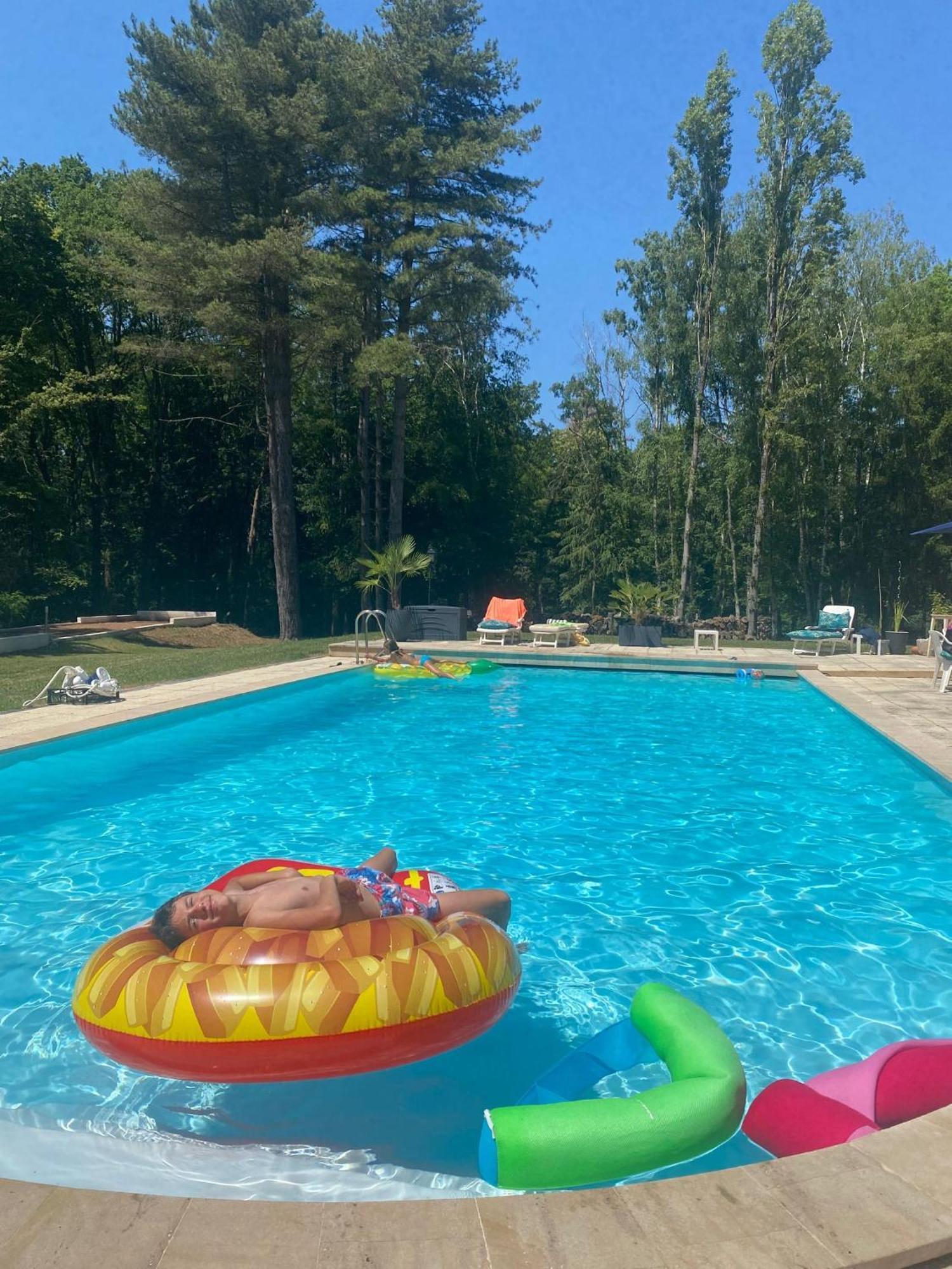 Le Clos Du Renard Sermaise  Buitenkant foto